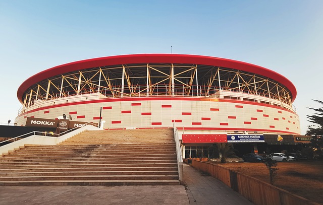 阿根廷糕点师开了一家糕点店，用罗马传奇托蒂的名字命名