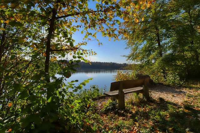 布达佩斯Major：猎鹰13-5 PUA获首胜，NiKo狂砍26杀