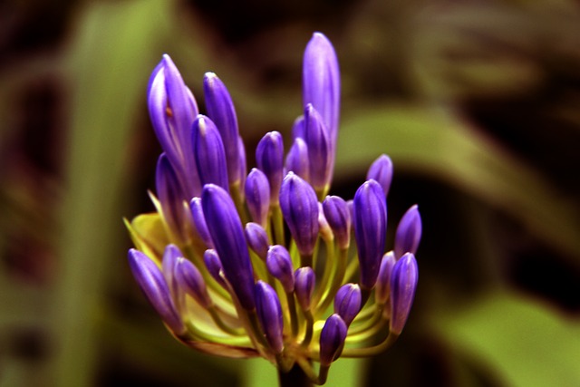 IG官方：下路选手Photic正式加入队伍