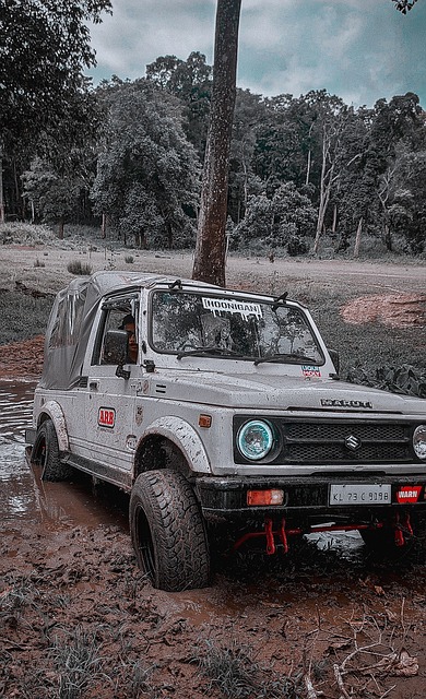 拉菲尼亚否认转会沙特传闻，斥媒体报道不实