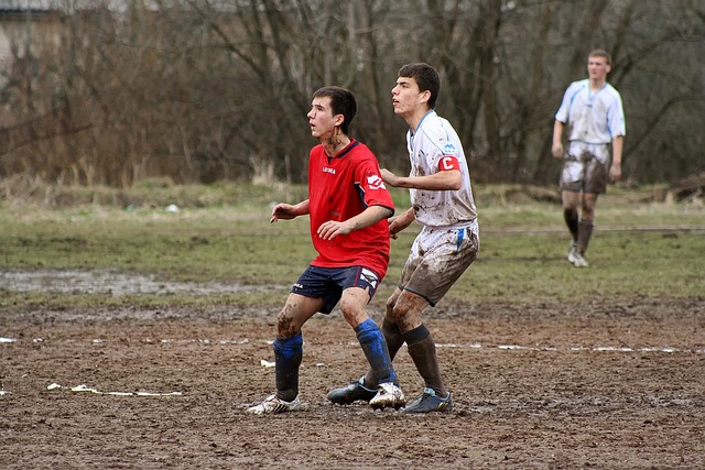女子篮球联盟赛季焦点球员表现